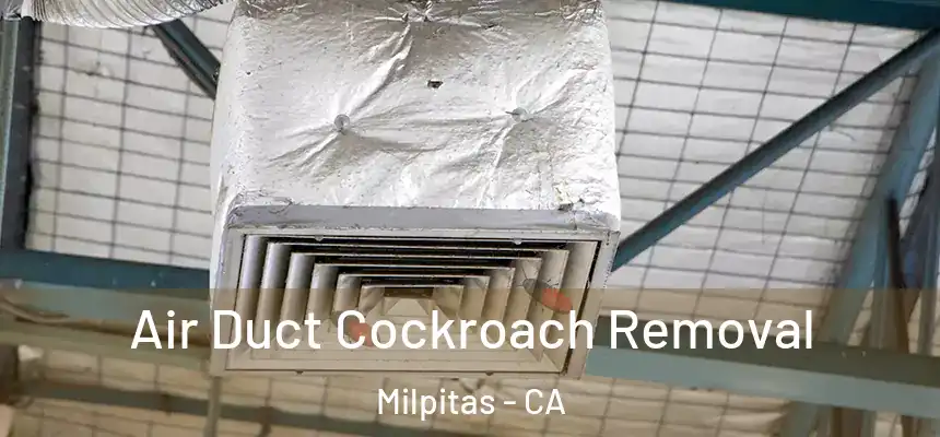 Air Duct Cockroach Removal Milpitas - CA