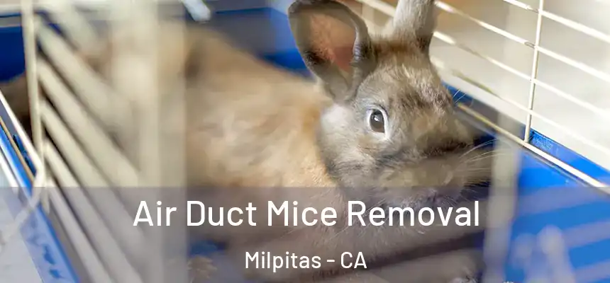  Air Duct Mice Removal Milpitas - CA