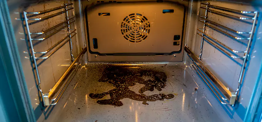 Our Dryer Vent Mold Cleaning Services in Milpitas, CA