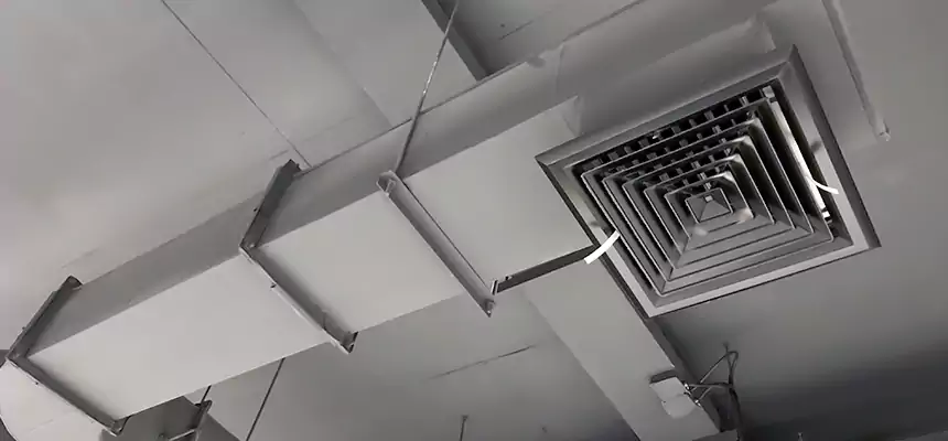 Our Pest Removal From Ducts Services in Milpitas, CA