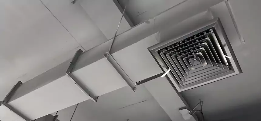 Our Rodent Droppings In Vents Services in Milpitas, CA