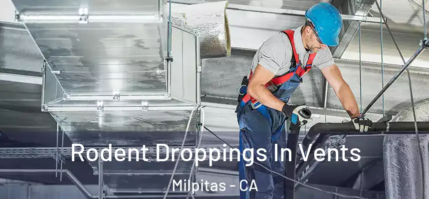 Rodent Droppings In Vents Milpitas - CA