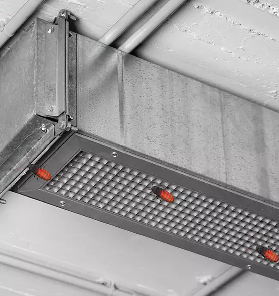 Affordable Insect Removal from Air Ducts in Milpitas, CA