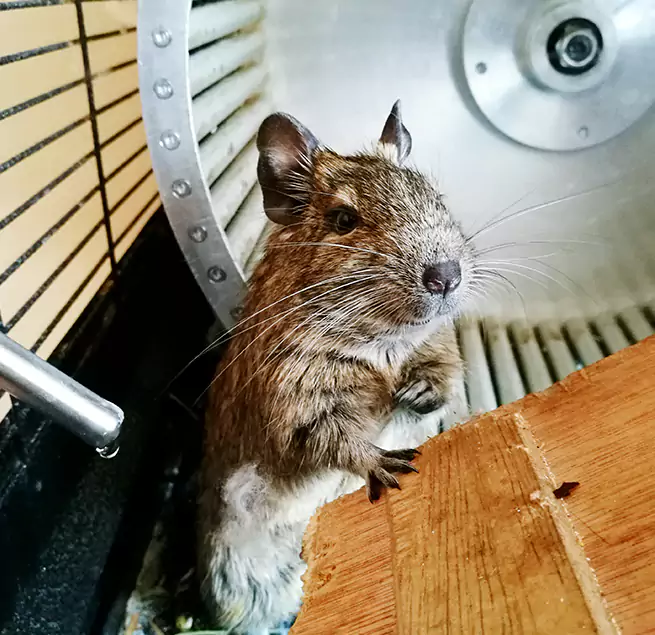 Why Homeowners & Businesses Trust Us Milpitas, CA