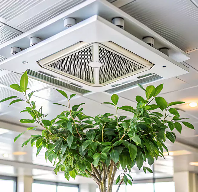 Why Homeowners & Businesses Trust Us in Milpitas, CA?