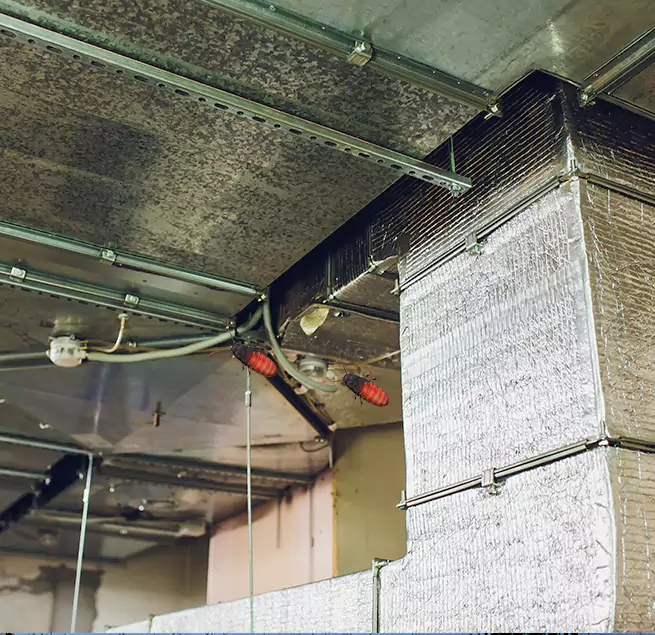 Why Homeowners & Businesses Trust Us Milpitas, CA?