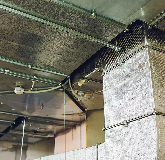 Why Homeowners & Businesses Trust Us in Milpitas, CA?